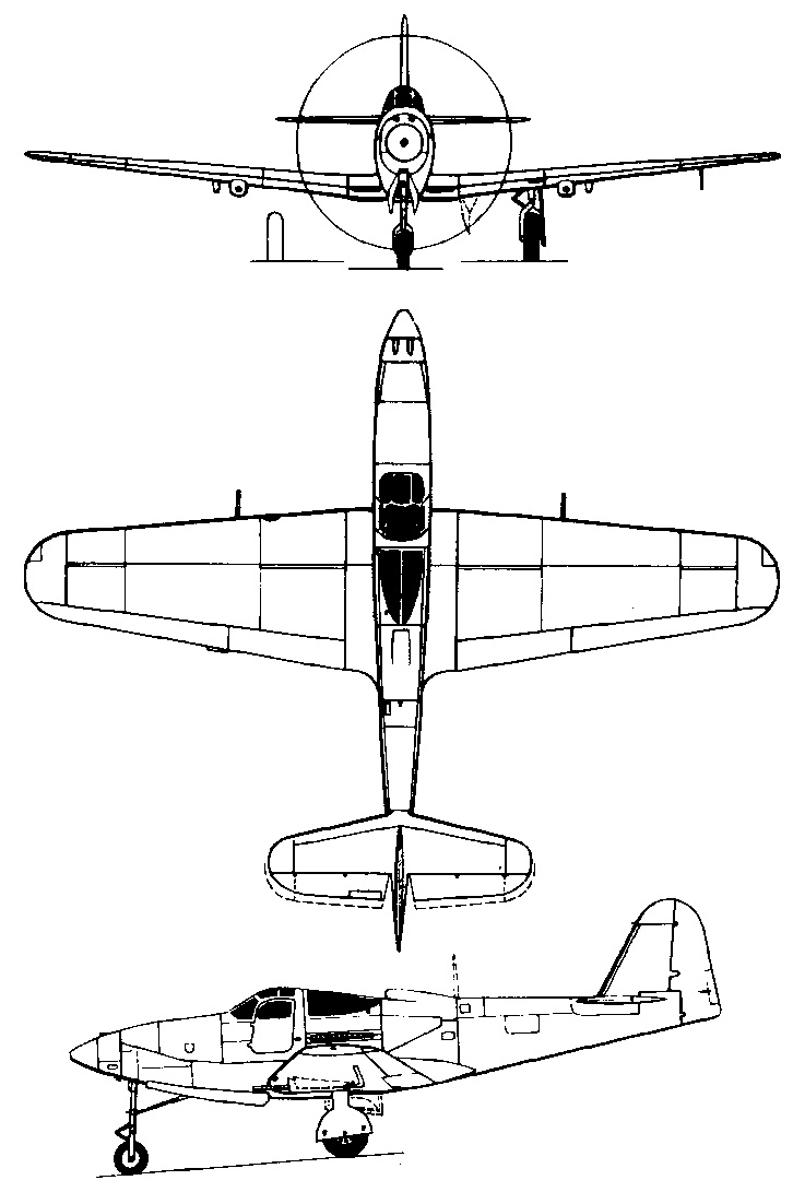 p63-diagram