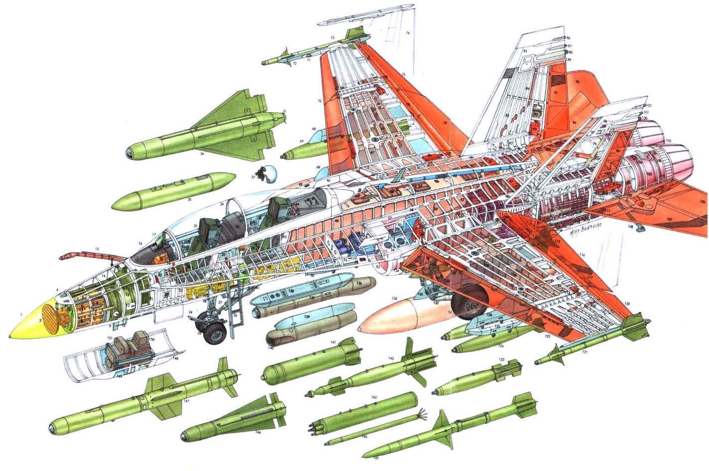 F18 Cutaway