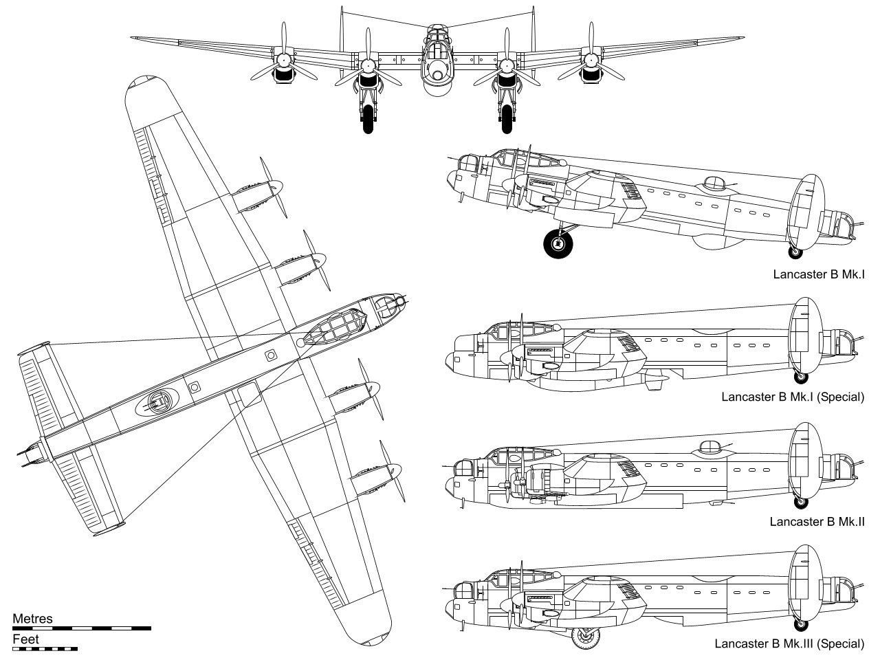 Curtiss SB2C Helldiver Diagram